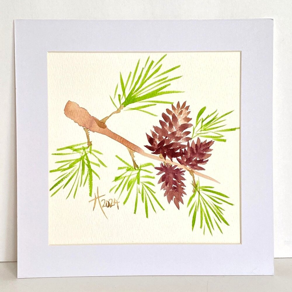3 Cones Original Watercolor Painting 8x8in Mat Frame Ready Pine Cone Art Green B